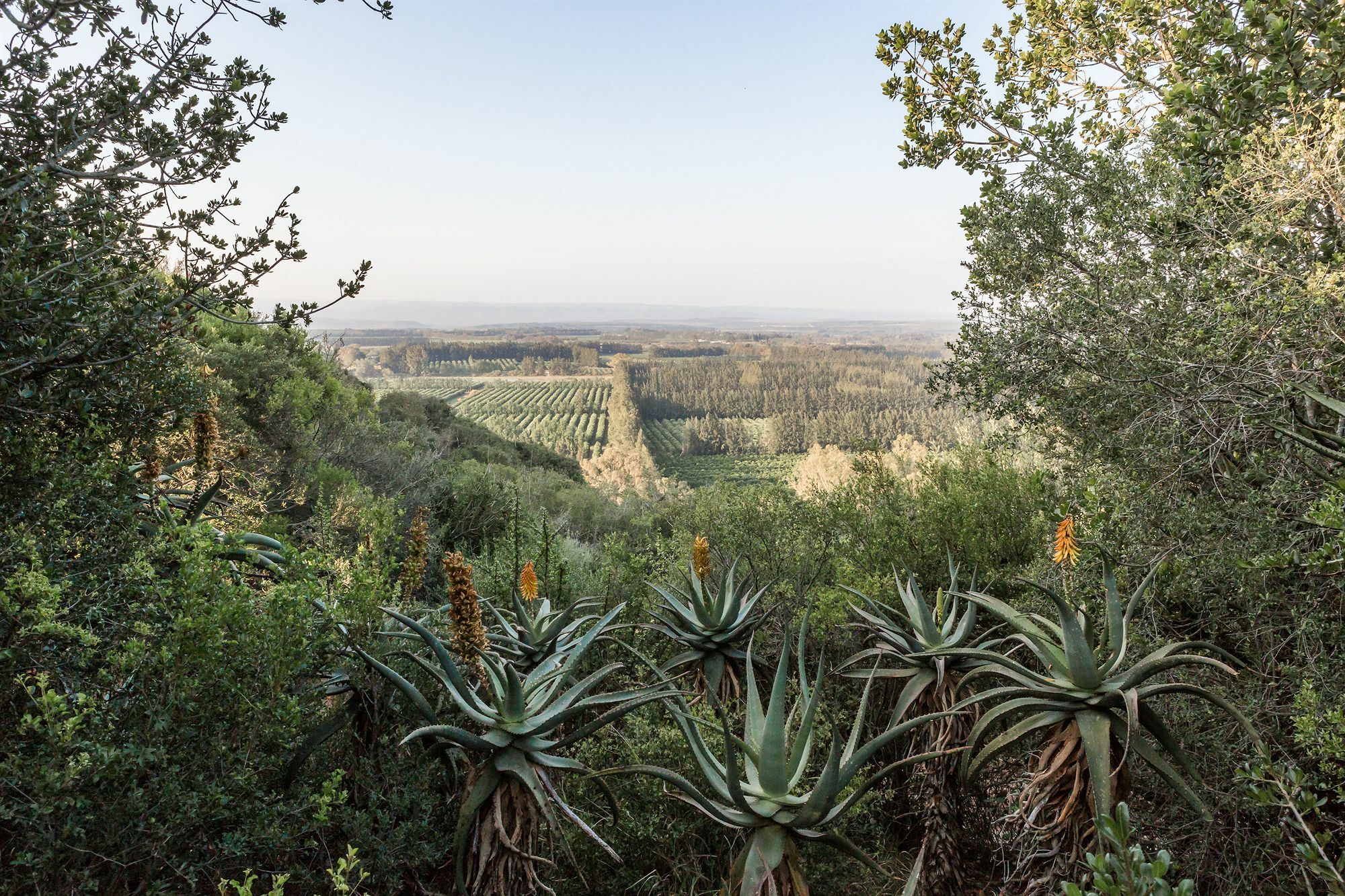 Hitgeheim Country Lodge Addo Exterior foto